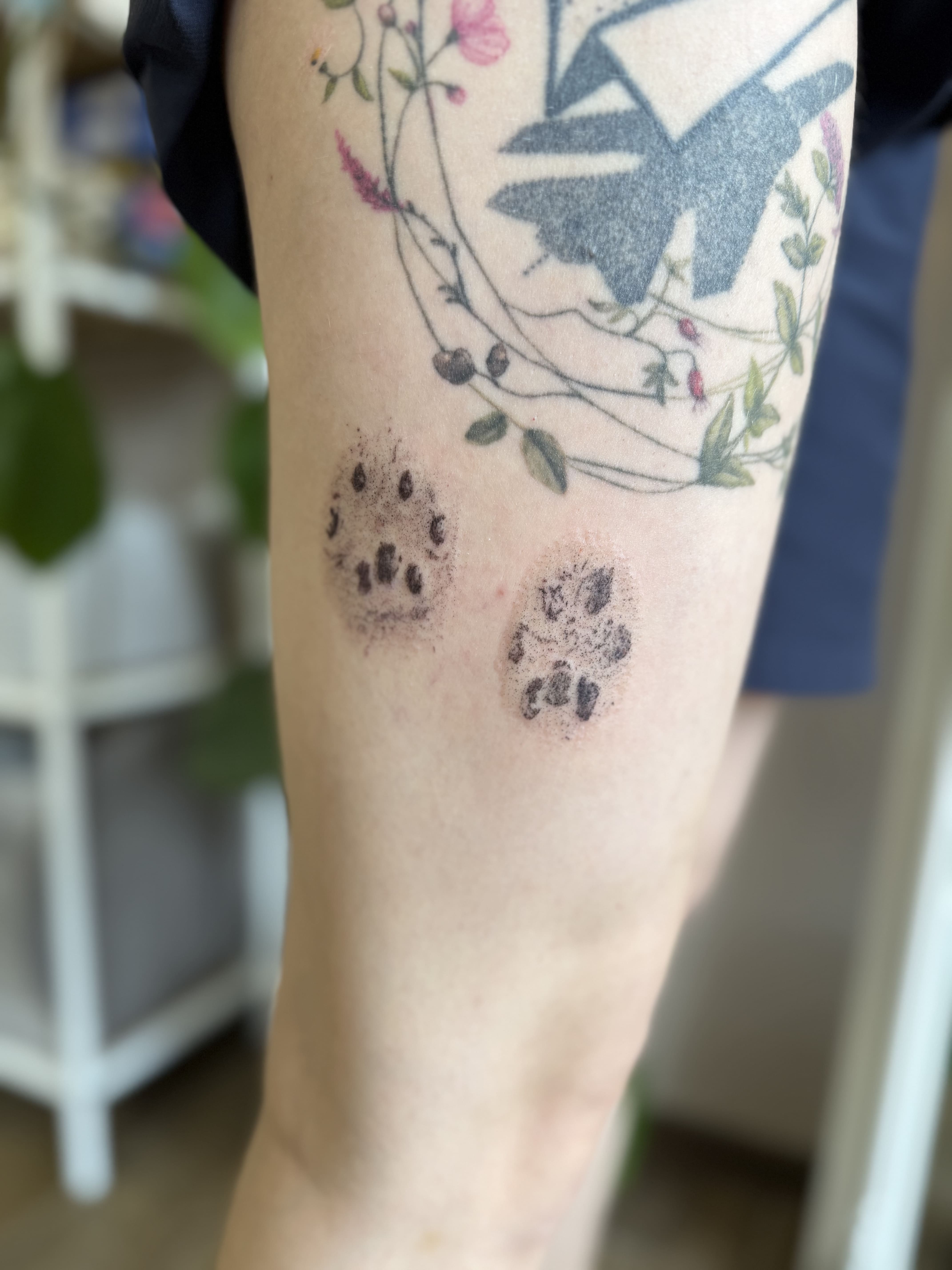 Тату лапи собаки, реалістичне, стегно / Dog paw tattoo, realistic, thigh